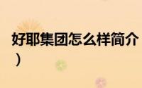 好耶集团怎么样简介（关于好耶集团详细介绍）
