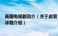 英国电视剧简介（关于皮囊 英国2007年英国E4频道偶像剧详细介绍）