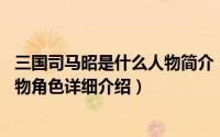 三国司马昭是什么人物简介（关于司马昭 《梦三国》游戏人物角色详细介绍）