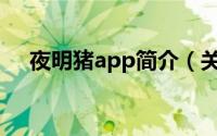 夜明猪app简介（关于夜明猪详细介绍）