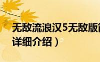 无敌流浪汉5无敌版简介（关于无敌流浪汉5详细介绍）