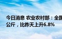 今日消息 农业农村部：全国农批市场猪肉均价为28.51元/公斤，比昨天上升6.8%