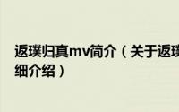 返璞归真mv简介（关于返璞归贞 《返璞归贞》同名专辑详细介绍）