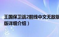 王国保卫战2前线中文无敌版简介（关于前线守卫2中文无敌版详细介绍）