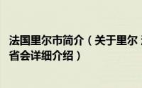 法国里尔市简介（关于里尔 法国上法兰西大区首府和诺尔省省会详细介绍）