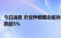 今日消息 农业种植概念板块震荡走低，荃银高科、敦煌种业跌超5%