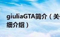 giuliaGTA简介（关于giuliano Fujiwara详细介绍）