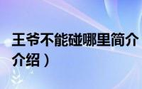 王爷不能碰哪里简介（关于王爷非礼误碰详细介绍）