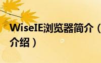 WiseIE浏览器简介（关于WiseIE浏览器详细介绍）