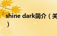 shine dark简介（关于Shina Dark详细介绍）