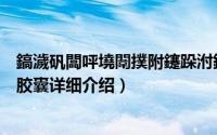 鎬濊矾闆呯墝闈撲附鑳跺泭鏁堟灉简介（关于思路雅牌靓丽胶囊详细介绍）