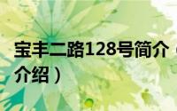 宝丰二路128号简介（关于宝丰一路48号详细介绍）