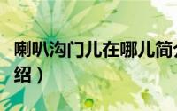 喇叭沟门儿在哪儿简介（关于喇嘛沟门详细介绍）