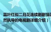 霜叶红似二月花连续剧剧情简介（关于霜叶红似二月花 刘毅然执导的电视剧详细介绍）
