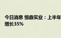 今日消息 恒鼎实业：上半年累计原煤产量237.7万吨，同比增长35%