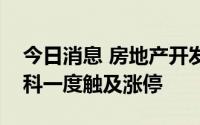 今日消息 房地产开发板块直线拉升，张江高科一度触及涨停