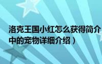 洛克王国小红怎么获得简介（关于一点红 游戏《洛克王国》中的宠物详细介绍）