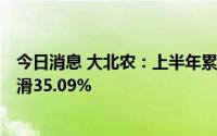 今日消息 大北农：上半年累计销售收入29.25亿元，同比下滑35.09%