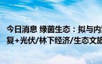 今日消息 绿茵生态：拟与内蒙古林草生态共同探索“生态修复+光伏/林下经济/生态文旅”等模式