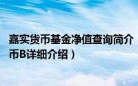 嘉实货币基金净值查询简介（关于嘉实货币市场基金 嘉实货币B详细介绍）