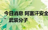 今日消息 阿富汗安全人员击毙2名“伊斯兰国”武装分子