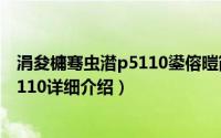 涓夋槦骞虫澘p5110鍙傛暟简介（关于三星Galaxy Tab P5110详细介绍）