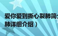 爱你爱到撕心裂肺简介（关于爱你爱的撕心裂肺详细介绍）