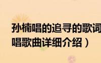 孙楠唱的追寻的歌词简介（关于追寻 孙楠演唱歌曲详细介绍）