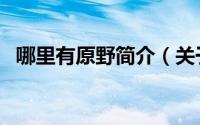 哪里有原野简介（关于原野户外详细介绍）