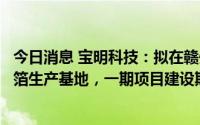 今日消息 宝明科技：拟在赣州经开区投资建设锂电池复合铜箔生产基地，一期项目建设期约12个月