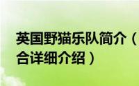英国野猫乐队简介（关于小野猫 欧美乐队组合详细介绍）