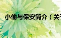 小偷与保安简介（关于强盗保镖详细介绍）