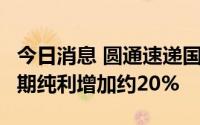 今日消息 圆通速递国际高开11.79%，预计中期纯利增加约20%