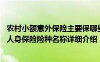 农村小额意外保险主要保哪些简介（关于农村小额人身保险 人身保险险种名称详细介绍）