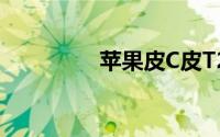 苹果皮C皮T288详细介绍