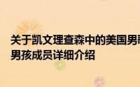 关于凯文理查森中的美国男歌手、模特、演员、作曲家后街男孩成员详细介绍