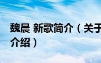 魏晨 新歌简介（关于破晓 魏晨音乐专辑详细介绍）