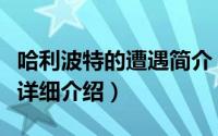 哈利波特的遭遇简介（关于哈利波特神秘遇险详细介绍）