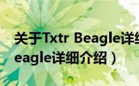 关于Txtr Beagle详细介绍简介（关于Txtr Beagle详细介绍）