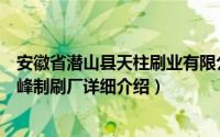 安徽省潜山县天柱刷业有限公司简介（关于安徽省潜山县伟峰制刷厂详细介绍）