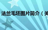 法兰毛坯图片简介（关于法兰毛坯详细介绍）