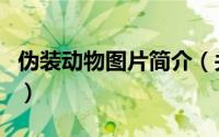 伪装动物图片简介（关于找伪装动物详细介绍）