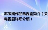 赵宝刚作品电视剧简介（关于北京青年 2012年赵宝刚执导电视剧详细介绍）