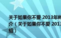 关于如果你不爱 2013年帅霖、韩晶演唱的歌曲详细介绍简介（关于如果你不爱 2013年帅霖、韩晶演唱的歌曲详细介绍）