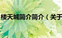 楼天城简介简介（关于小天城 建筑详细介绍）