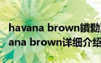 havana brown鐨勬潵璺宠垶简介（关于havana brown详细介绍）
