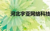 河北宇亚网络科技有限公司详细介绍