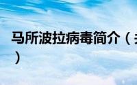马所波拉病毒简介（关于马秋波病毒详细介绍）