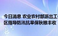 今日消息 农业农村部派出工作组和专家组深入东北和西北地区指导防汛抗旱保秋粮丰收