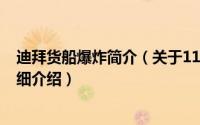 迪拜货船爆炸简介（关于111巴基斯坦拆船码头爆炸事故详细介绍）